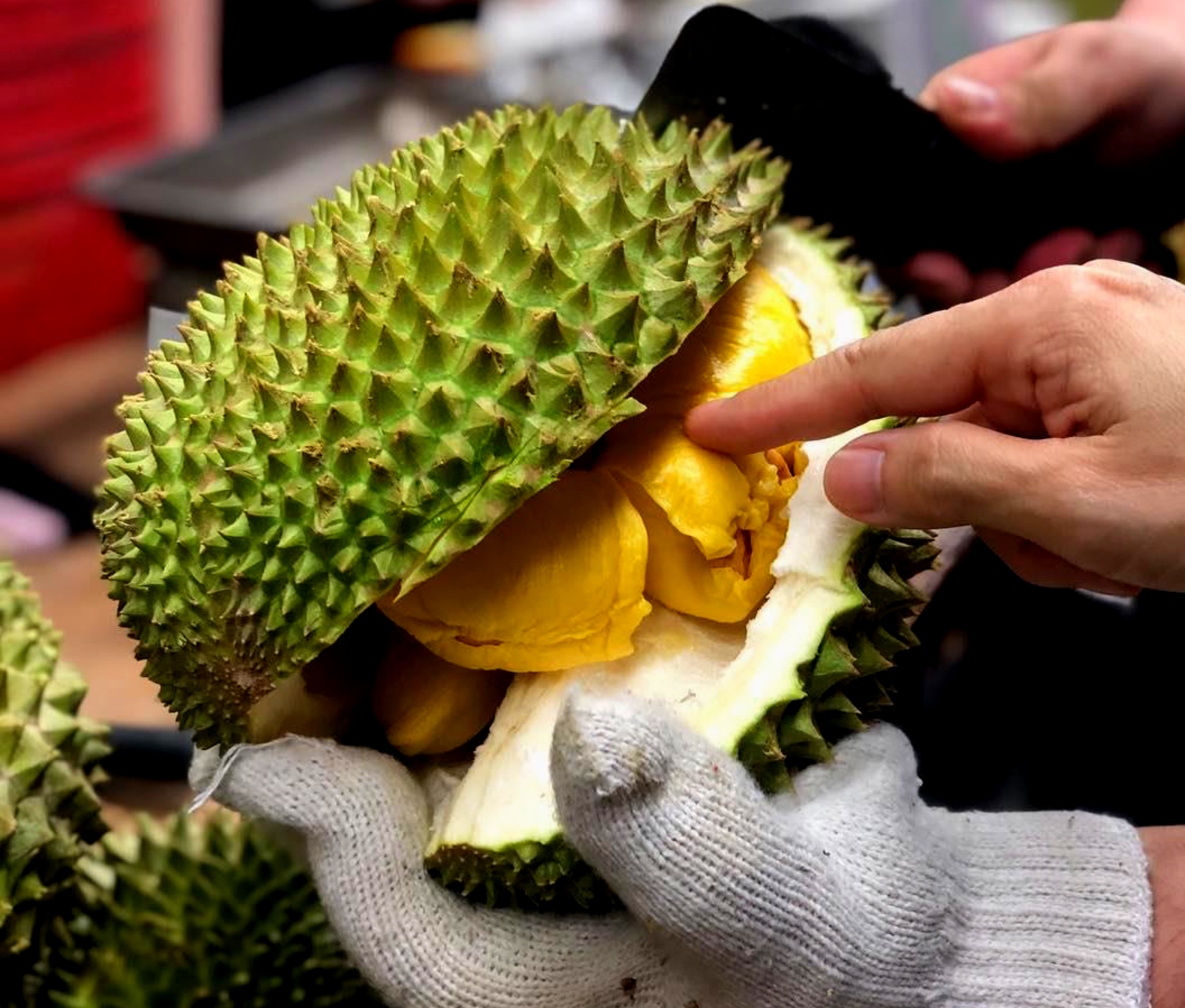 Poking Durian